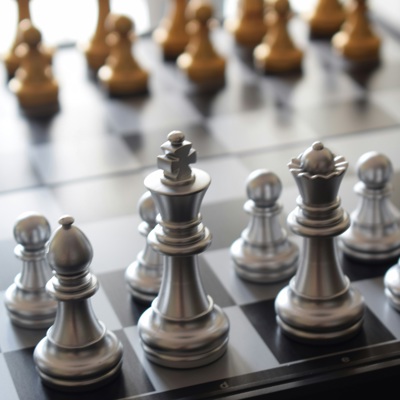 Gold Silver Chess Pieces