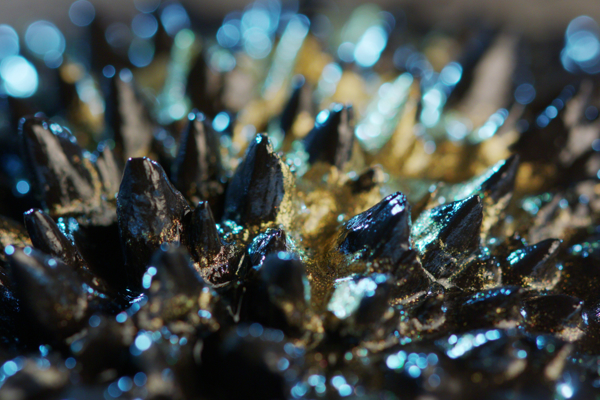 Shutterstock 1251322624