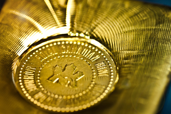 IMG 0486 Copy Cropped LF