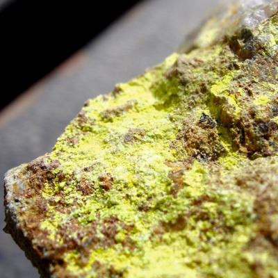 Shutterstock 1245704266